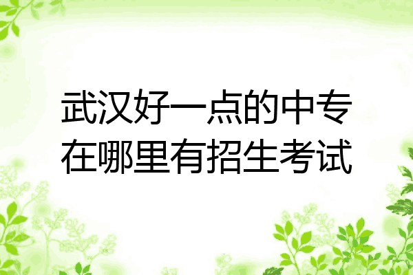 武汉好一点的中专在哪里有招生考试