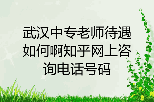 武汉中专老师待遇如何啊知乎网上咨询电话号码