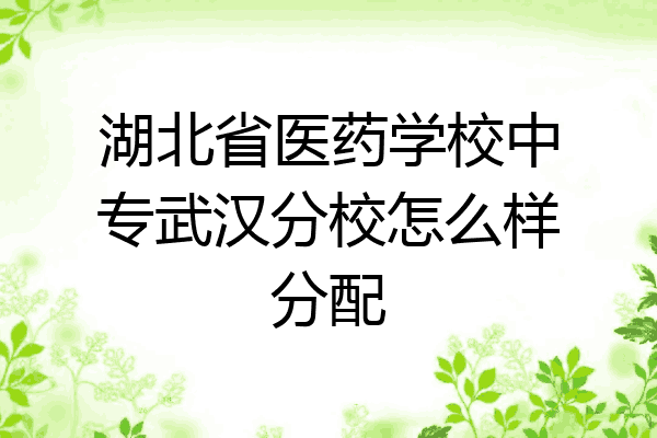 湖北省医药学校中专武汉分校怎么样分配