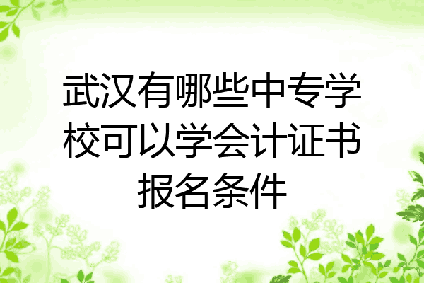 武汉有哪些中专学校可以学会计证书报名条件
