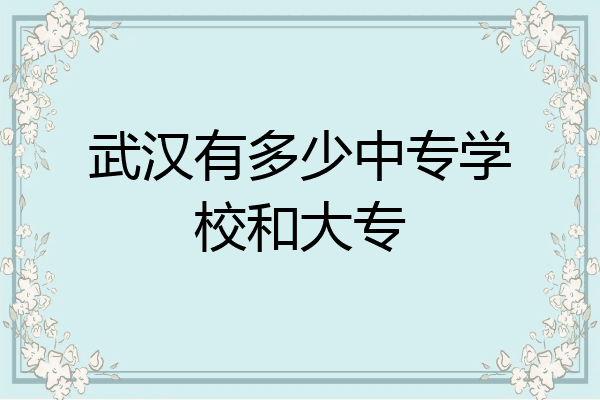 武汉有多少中专学校和大专