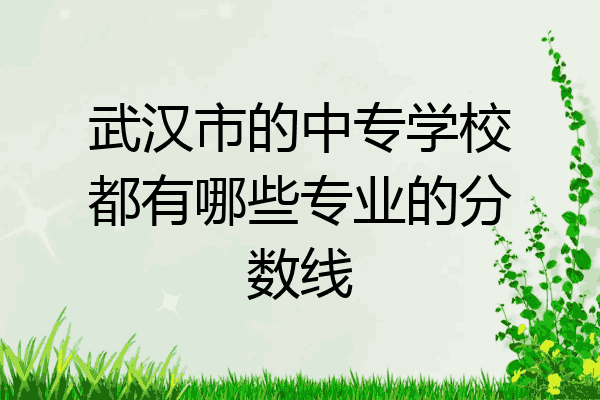 武汉市的中专学校都有哪些专业的分数线