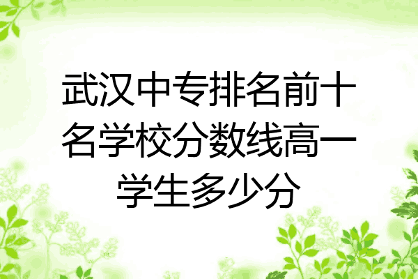 武汉中专排名前十名学校分数线高一学生多少分