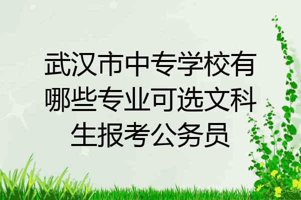 武汉市中专学校有哪些专业可选文科生报考公务员