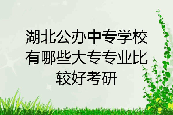 湖北公办中专学校有哪些大专专业比较好考研