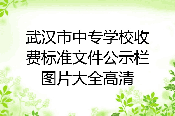 武汉市中专学校收费标准文件公示栏图片大全高清
