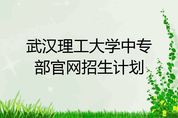 武汉理工大学中专部官网招生计划