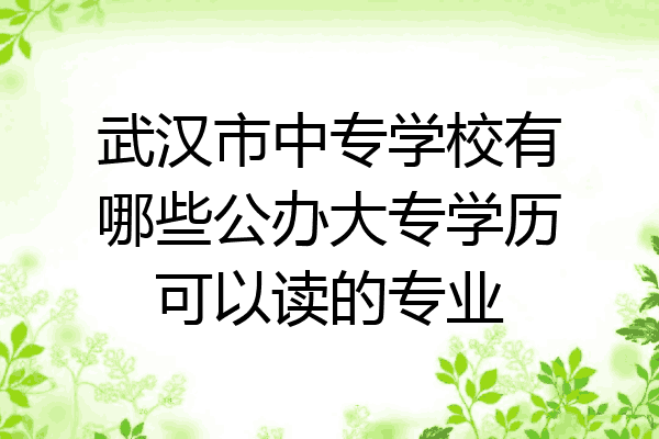 武汉市中专学校有哪些公办大专学历可以读的专业