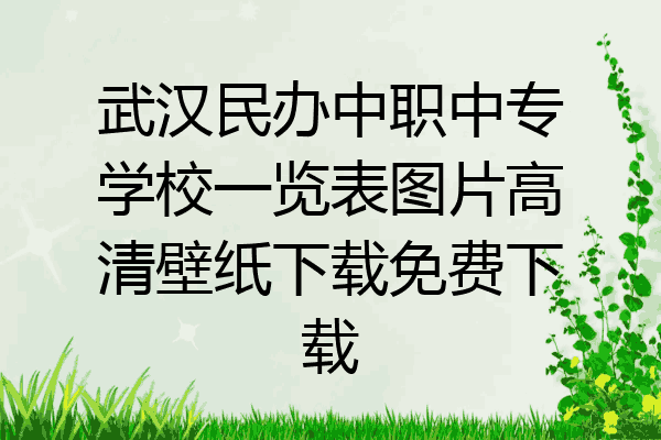 武汉民办中职中专学校一览表图片高清壁纸下载免费下载