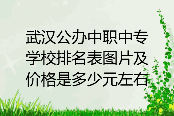 武汉公办中职中专学校排名表图片及价格是多少元左右