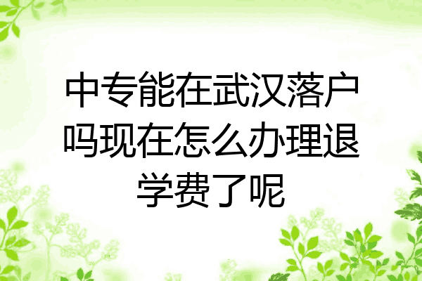 中专能在武汉落户吗现在怎么办理退学费了呢