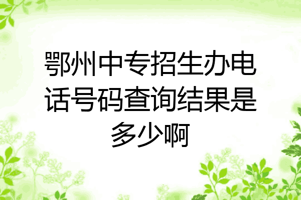 鄂州中专招生办电话号码查询结果是多少啊