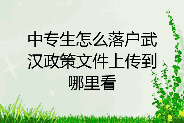 中专生怎么落户武汉政策文件上传到哪里看
