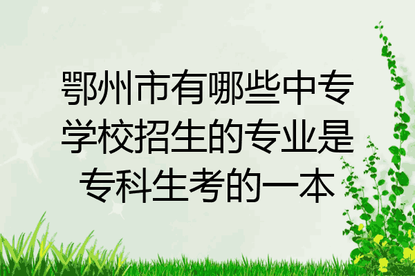 鄂州市有哪些中专学校招生的专业是专科生考的一本