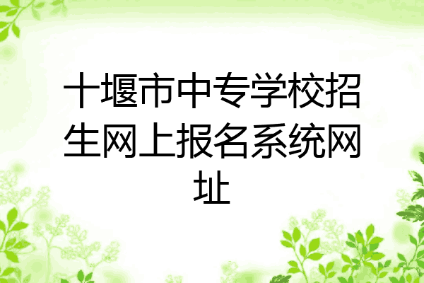十堰市中专学校招生网上报名系统网址