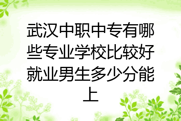 武汉中职中专有哪些专业学校比较好就业男生多少分能上