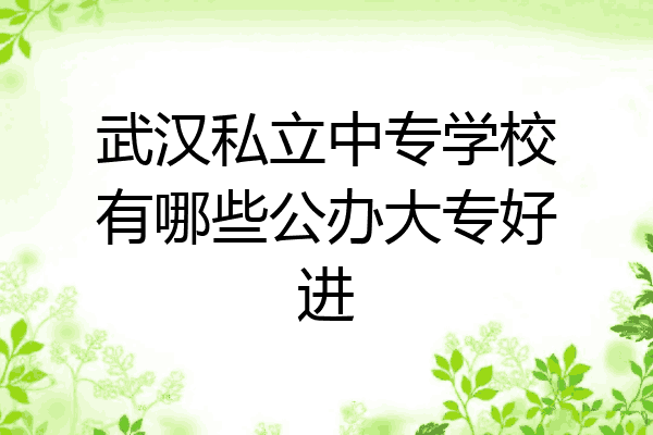 武汉私立中专学校有哪些公办大专好进