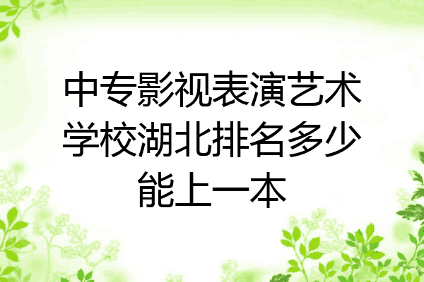 中专影视表演艺术学校湖北排名多少能上一本