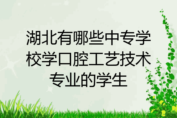 湖北有哪些中专学校学口腔工艺技术专业的学生