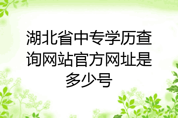 湖北省中专学历查询网站官方网址是多少号