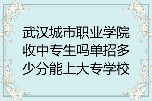 武汉城市职业学院收中专生吗单招多少分能上大专学校
