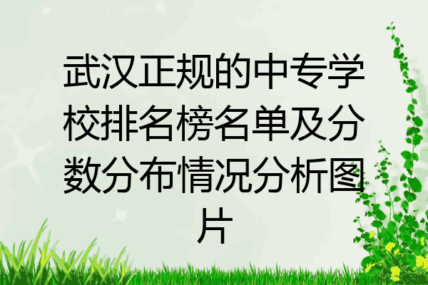 武汉正规的中专学校排名榜名单及分数分布情况分析图片