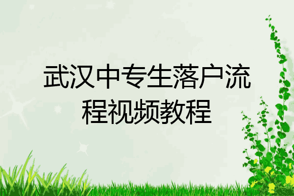 武汉中专生落户流程视频教程