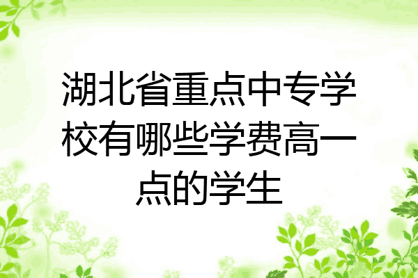 湖北省重点中专学校有哪些学费高一点的学生