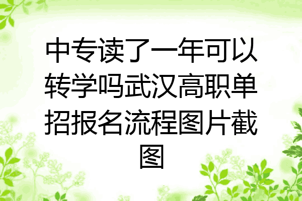 中专读了一年可以转学吗武汉高职单招报名流程图片截图