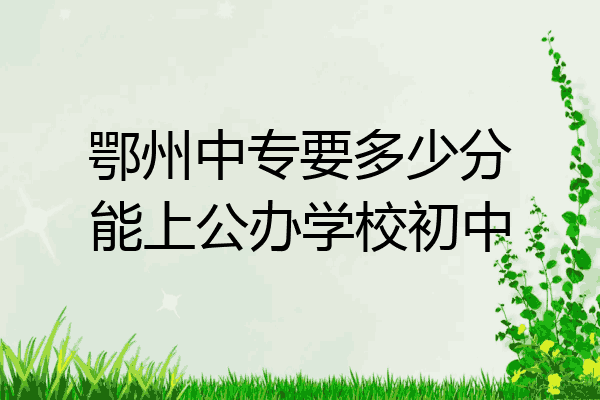鄂州中专要多少分能上公办学校初中