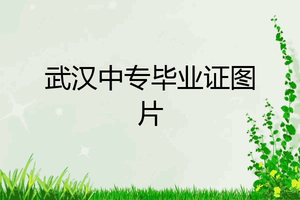 武汉中专毕业证图片