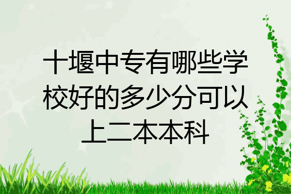 十堰中专有哪些学校好的多少分可以上二本本科