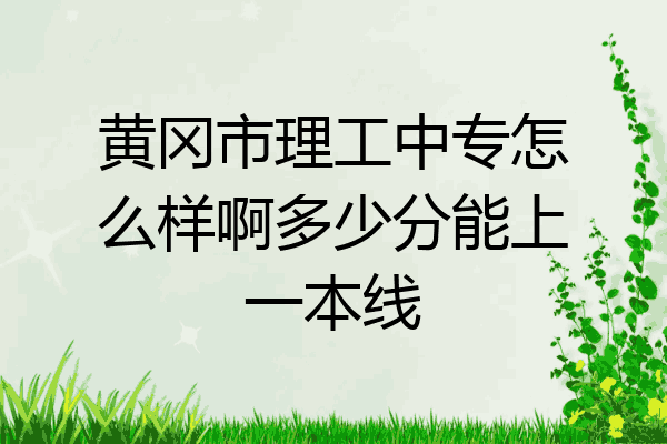 黄冈市理工中专怎么样啊多少分能上一本线