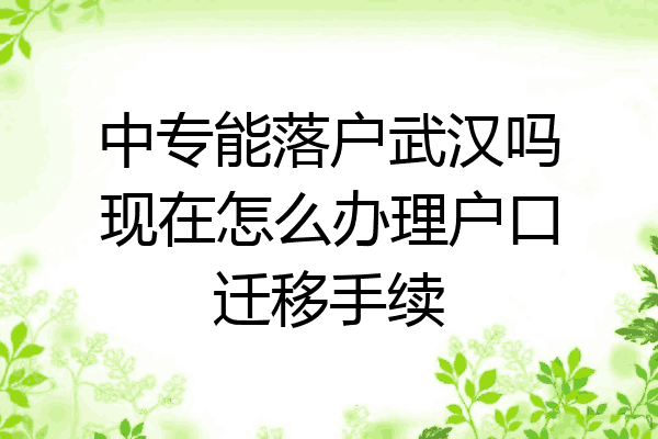 中专能落户武汉吗现在怎么办理户口迁移手续