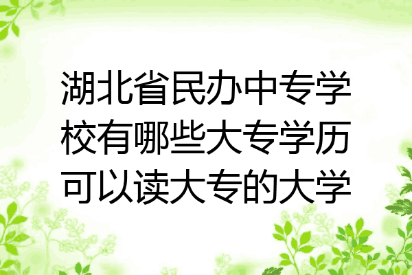 湖北省民办中专学校有哪些大专学历可以读大专的大学