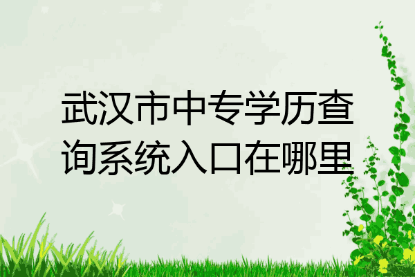 武汉市中专学历查询系统入口在哪里