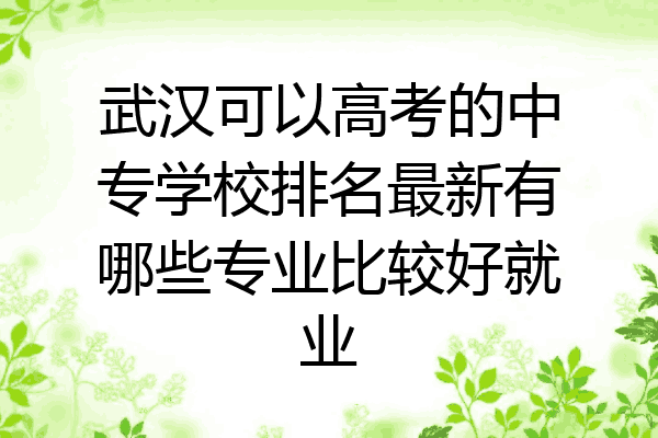 武汉可以高考的中专学校排名最新有哪些专业比较好就业