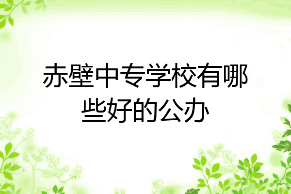赤壁中专学校有哪些好的公办