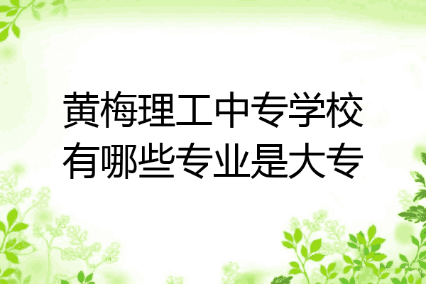 黄梅理工中专学校有哪些专业是大专