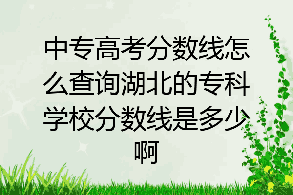 中专高考分数线怎么查询湖北的专科学校分数线是多少啊
