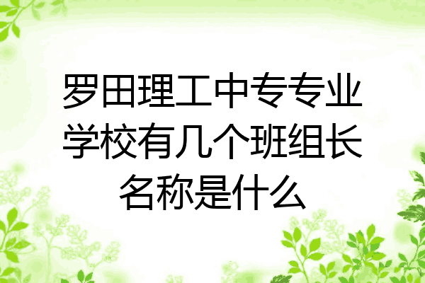 罗田理工中专专业学校有几个班组长名称是什么