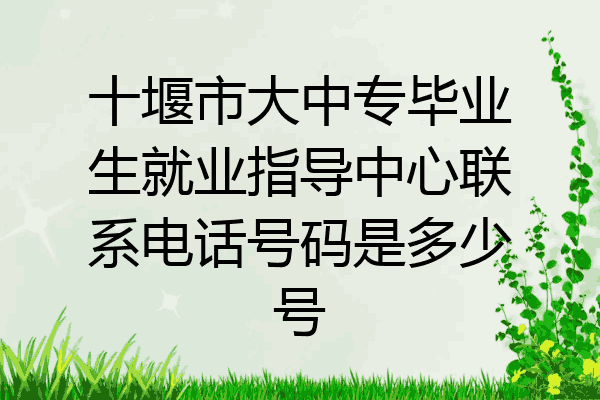 十堰市大中专毕业生就业指导中心联系电话号码是多少号