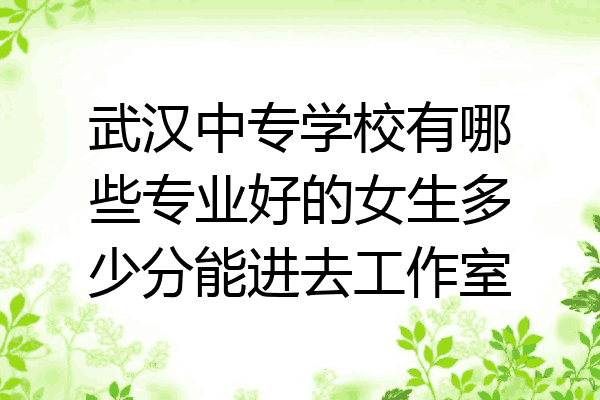 武汉中专学校有哪些专业好的女生多少分能进去工作室