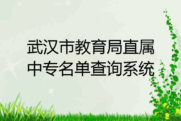 武汉市教育局直属中专名单查询系统