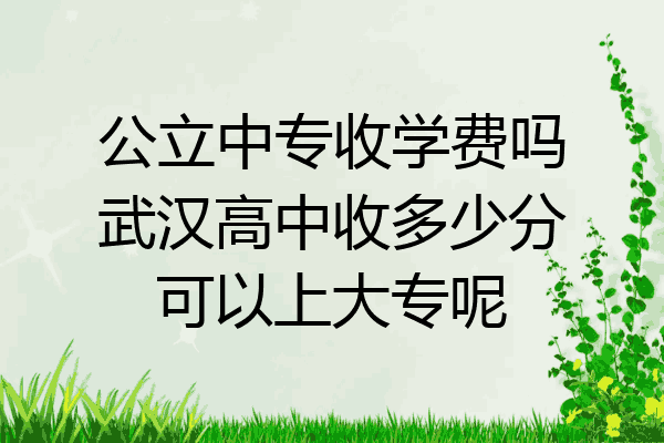 公立中专收学费吗武汉高中收多少分可以上大专呢