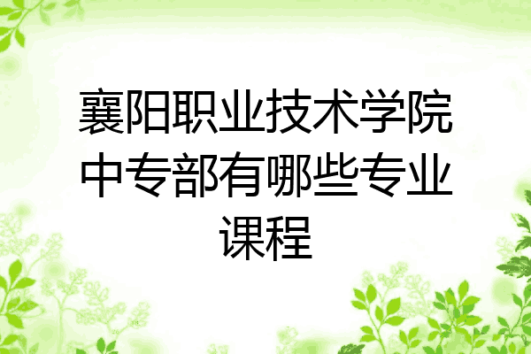 襄阳职业技术学院中专部有哪些专业课程