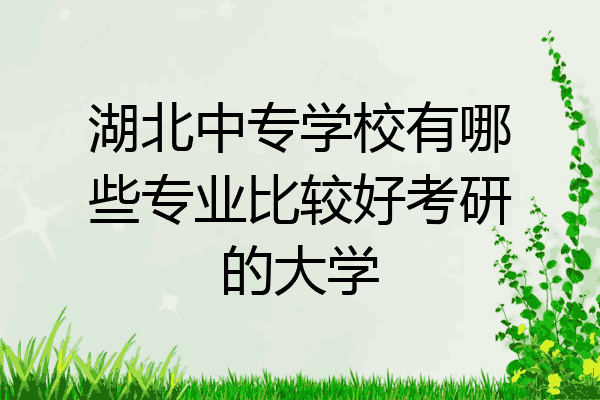 湖北中专学校有哪些专业比较好考研的大学