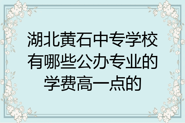 湖北黄石中专学校有哪些公办专业的学费高一点的