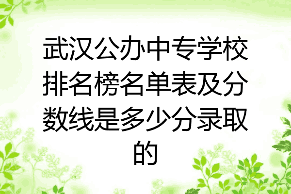 武汉公办中专学校排名榜名单表及分数线是多少分录取的