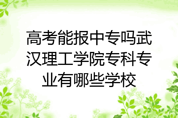 高考能报中专吗武汉理工学院专科专业有哪些学校